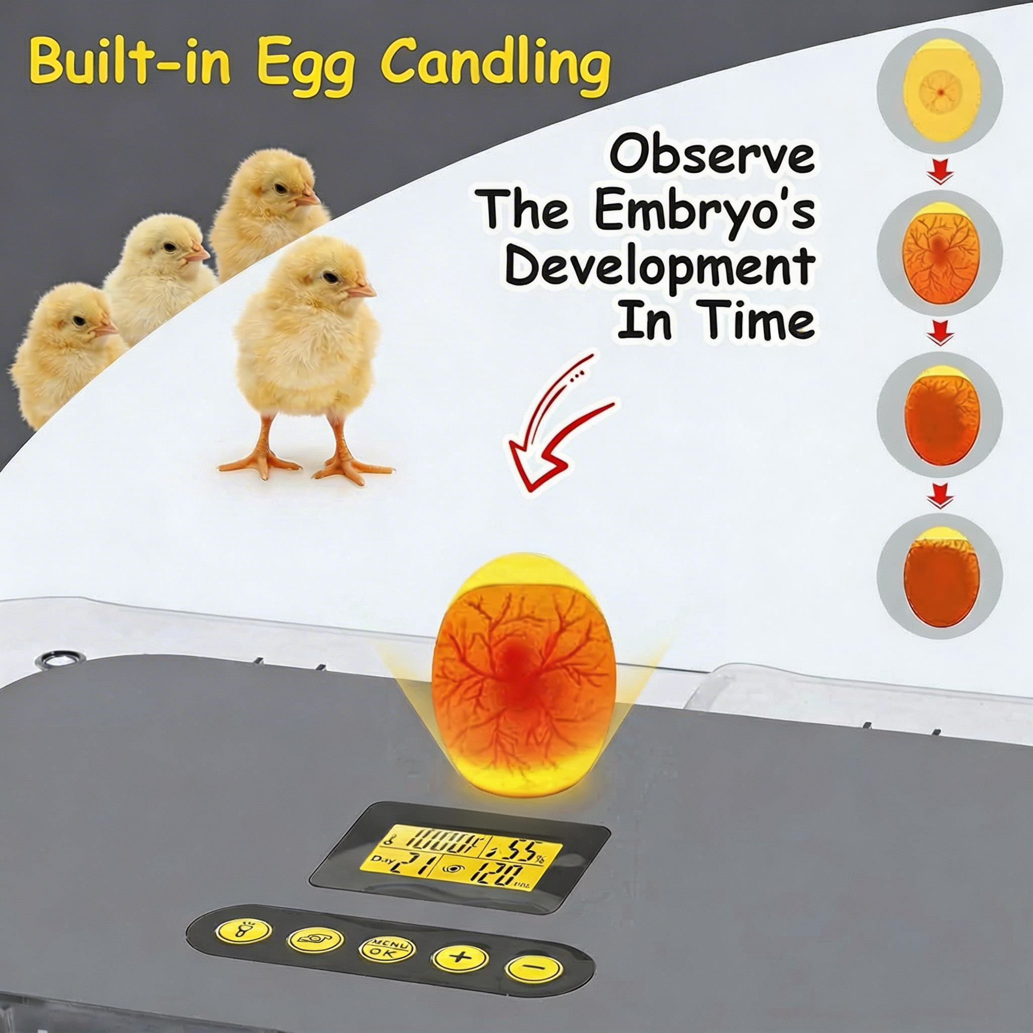 Adnoom 56 Egg Incubator Chicken Incubators for Hatching Eggs with Automatic Egg Turner and Humidity Temp Control, Egg Hatcher Incubator with Egg Candler for Chicken Ducks Bird Quail