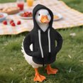 thumbnail image 4 of Desk Goose Outfits Hoodies Tabletop Goose Accessory Mini Porch Goose Amp 15 15 Amp Vacuum Amp Key Holder Cyclic Amp Amp Ha400 L4 Channel Amp Load Amp Large Dolls for Girls 3600 Amp for Rooting Dolls, 4 of 4