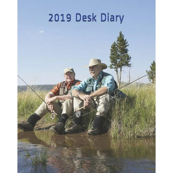 Diary - Plain & Simple: 2019 Desk Diary (Paperback)