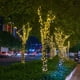 thumbnail image 5 of LED Fairy String Light IP65 Lámpara solar para exteriores Decoración de jardín (22 m cálido) Tmvgtek Iluminación del hogar multifuncional, 5 of 9
