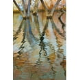 thumbnail image 2 of Paulson, Don 13x18 Black Ornate Wood Framed with Double Matting Museum Art Print Titled - UT, Glen Canyon Cottonwood trees in Canyon water, 2 of 4