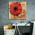thumbnail image 5 of Epic Graffiti 'Gerbera Italia'  by Art Licensing Studio Canvas Wall Art, 26" x 26", 5 of 8