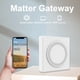 thumbnail image 5 of Graffiti Zigbee Puerta de Enlace Cableada para Matter Protocol Smart Home Network Hub Puerta de Enlace de Control Remoto Multifunción, 5 of 10