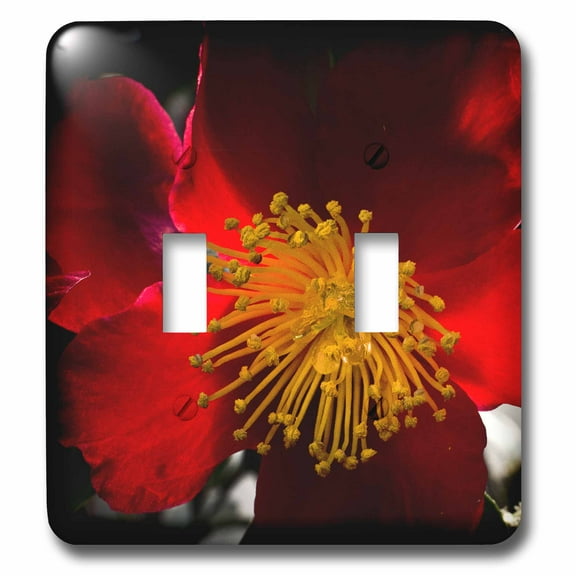 3dRose, Red Flower with Yellow Fingers Wall Décor, double toggle switch