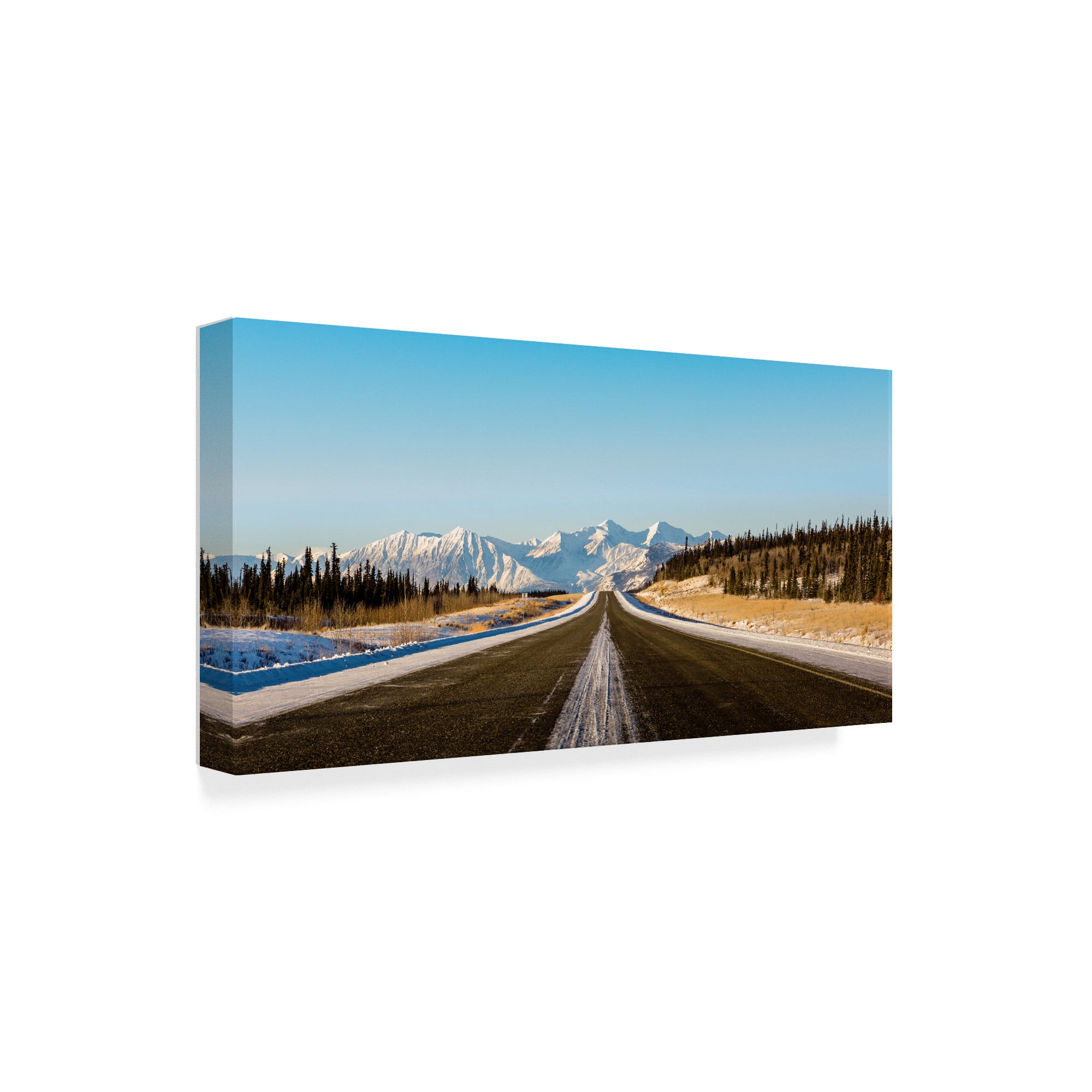 Trademark Fine Art 'Endless Road In Mountains' Canvas Art by Brenda Petrella Photography Llc