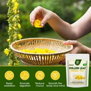 Herbal Mullein Tea, Mullein Leaf Tea Detox Tea Bags, Caffeine Free, 2g/Bag, 56 Bags