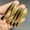 Black Back And Brown Belly, variant on 5-Pack Loach Bionic Lure, Soft Bait for Casting with Tail Wagging Action, 7cm/10cm, 2g/6g, for Freshwater Pale Chub, Mandarin Fish, Bass, Snakehead, Catfish, Soft Worm/Soft Fish Lure
