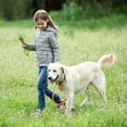 thumbnail image 7 of Dog Leash Slip Lead Snap Hook Rope Leash Strong Heavy Duty Braided Dog Training Leash No Pull Training Lead Leashes for Medium Large and Small Dogs3/8in x 5ft, 7 of 7