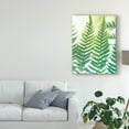 thumbnail image 3 of Trademark Fine Art 'Fern Glow IV' Canvas Art by Jason Johnson, 3 of 4