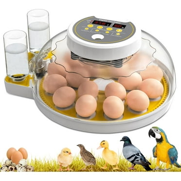18 Egg Incubator with Automatic Egg Turning, Temperature and Humidity Control, Egg Candler, Incubator for Chicken Eggs，Ideal for Hatching Eggs