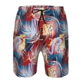 thumbnail image 4 of Naloa Hawaiian Style Men's Beach Shorts, Surfing shorts, Swim trunks, Quick Dry Swim Trunks for Surfing Beach Fun - Large, 4 of 9