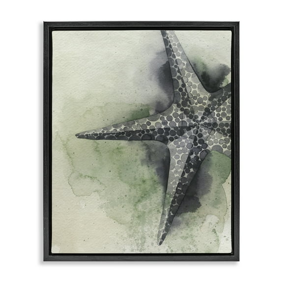 Stupell Industries Spotted Grey Starfish Animals & Insects Painting Black Floater Framed Canvas Art Print Wall Art, 17 x 21