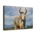 thumbnail image 2 of Majestic Zebu Art Majestic Zebu Print Animal Wall Art Wildlife Canvas Prints Wall Art Ready to Hang Unframed, 2 of 18