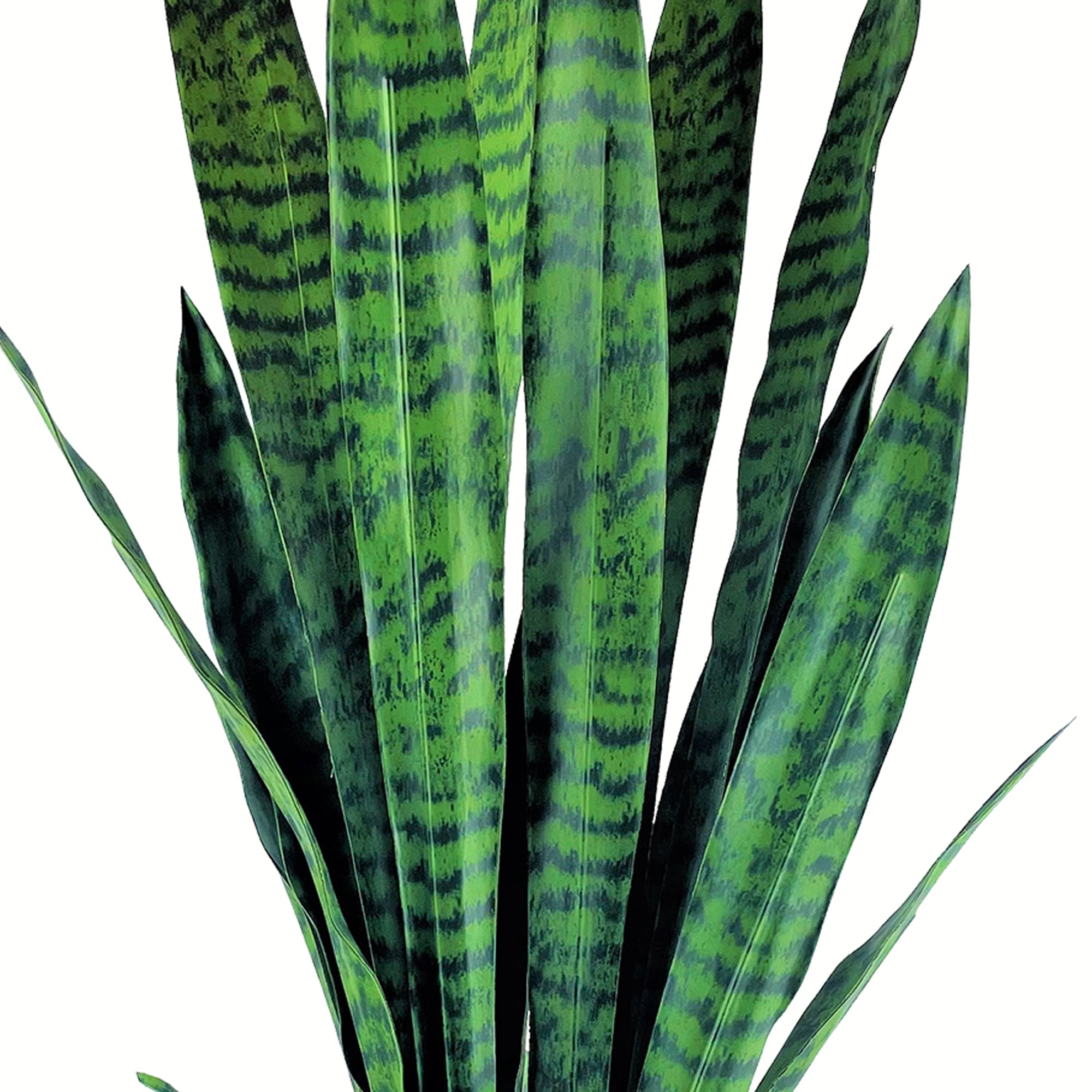LCG Florals Artificial Plant, Snake Plant, 3.17 ft, Square Handwoven Basket