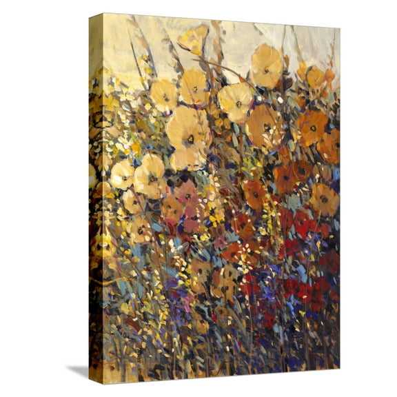 Art.com Bright and Bold Flowers II Stretched Canvas Print Wall Art by Tim O'toole, 12" x 16"