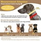 thumbnail image 5 of Collar para perro Mayerzon Martingale No Pull Reflectivo Negro XL, 5 of 7