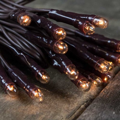 See All String Lights Warm White Teeny Bulb String Lights Brown Wire