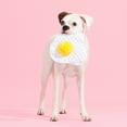 thumbnail image 6 of BARK Box Puppy Side Up Egg Crinkle Plush Toy with Hidden Squeaky Ball, 6 of 11