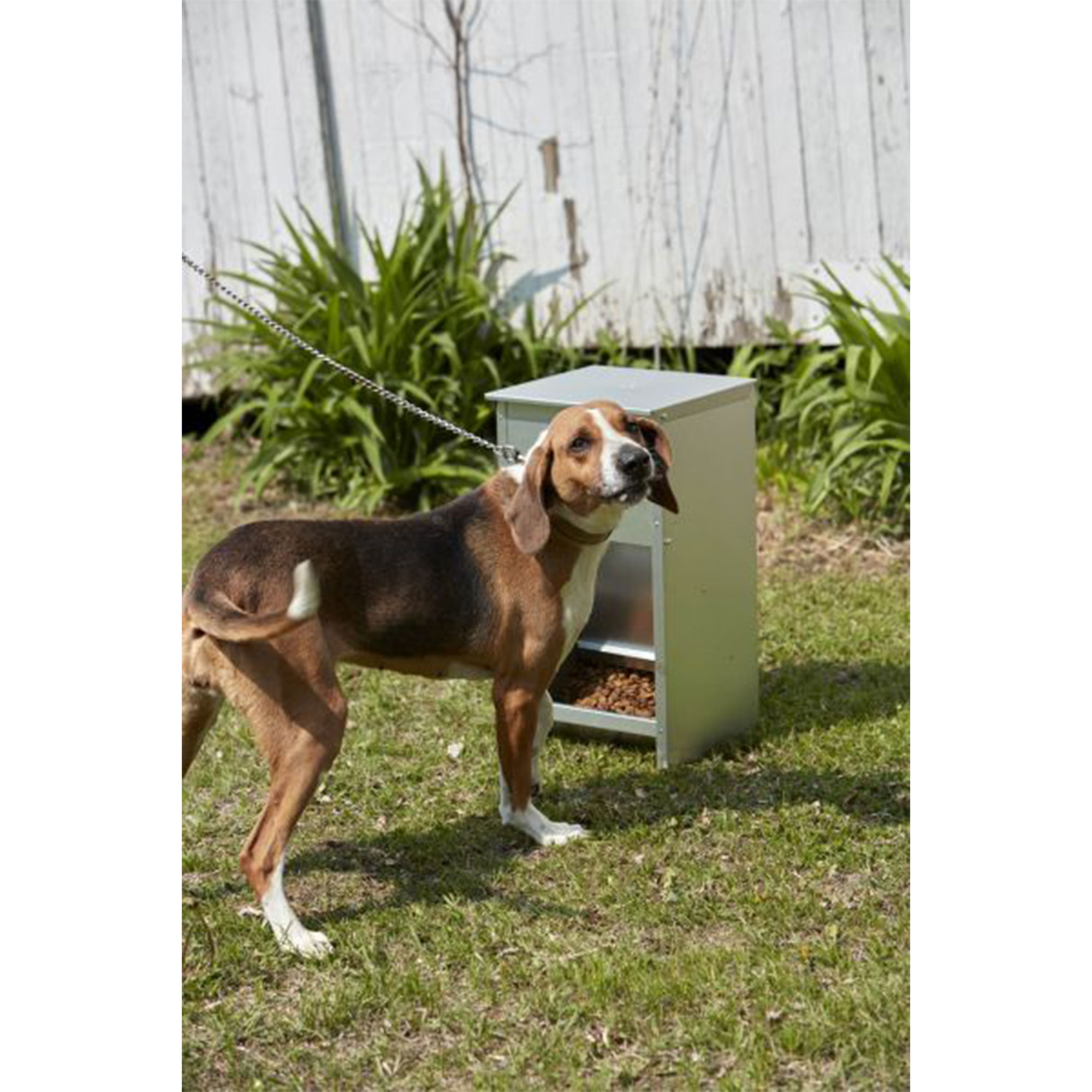 Pet Lodge Chow Hound Automatic Steel Dog Feeder photo 6
