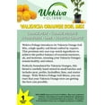 thumbnail image 2 of Valencia Orange Tree Growing Soil Mix  10 Quarts - Custom Soil Blend  Potting Mix for Valencia Orange Trees  Specially Developed by and for Professional Nursery Growers - Nutrient-Rich Formula, 2 of 7