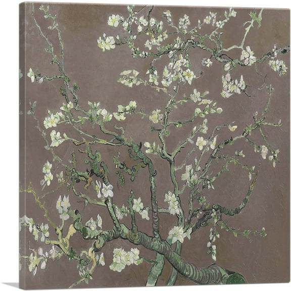 ARTCANVAS Branches with Almond Blossom - Brown Square 1890 Canvas Art Print by Vincent Van Gogh - Size: 18" x 18" (0.75" Deep)
