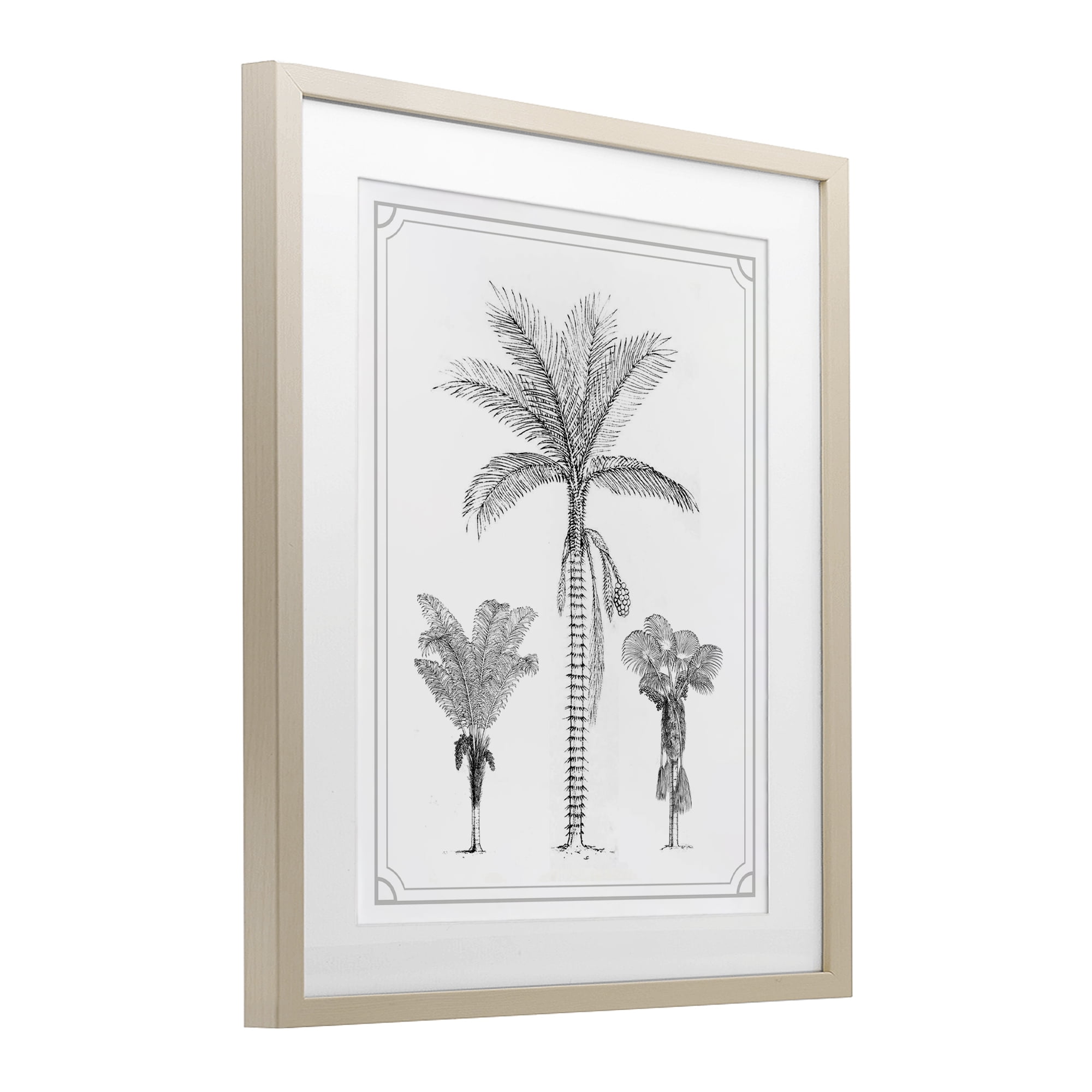 Palm Tree Trio Sketches Birch Framed Print Under Glass, design by Lettered and Lined