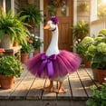 thumbnail image 2 of AuroraX 23 inch Porch Goose Outfit Sets Porch Goose Clothes Set 23" 17 19 inch Holiday Princess Tutu Skirts Porch Goose Accessories Fall Outside Stuff, 2 of 6