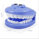 thumbnail image 2 of LYD juguetes y juegos hechos a mano 9 unids/set niños juguete para juego de imitación dentista comprobar dientes modelo para médicos juego de rol juguetes para bebés LYD Juguetes de rol para niños, 2 of 2