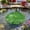 D, variant on Artificial Lotus Leaves Realistic Plastic Floating Lily Pads for Pond Aquarium Pool Fish Tank Garden Decor Accent