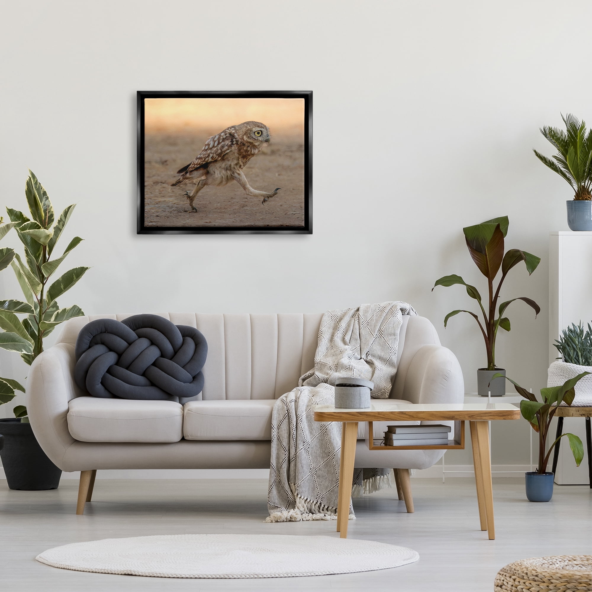 Stupell Industries Rushing Little Owl Animals & Insects Photography Black Floater Framed Canvas Art Print Wall Art, 31 x 25