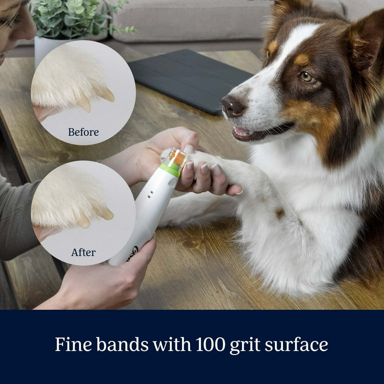 Oster gentle paws walmart discount