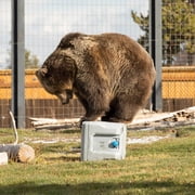 Lifetime 55qt Bear-Resistant Camping Cooler, Premium High Performance, Ice Retention, Hard Cooler, 60 Can Capacity, Light Gray