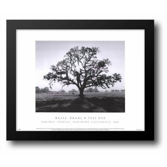 FrameToWall - Oak Tree, Sunrise 18x15 Framed Art Print by Adams, Ansel