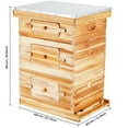 thumbnail image 4 of KFFKFF Bee Colony 30 Structure Beekeeping Starter Set, fir Wood with Beeswax Coating, 2 Large + 1 Medium Langstroth Beehive Units, Clear Acrylic Viewing Panels with Base for Novice, 4 of 9
