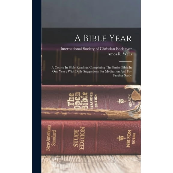 A Bible Year (Hardcover)