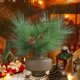 thumbnail image 4 of onlyliua Liquidación Ofertas Del Día Ofertas Prime Ramas de Navidad Norfolk Ramas de Navidad Artificiales Manualidas Ramas de Navidad Falsas Norfolk para Decoración Navideña de Interiores y Exteriore, 4 of 6