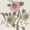Ivory, variant on BrylaneHome Ava Embroidered Cotton Sham