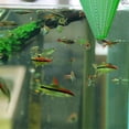 thumbnail image 5 of 4 comederos cónicos de plástico para lombrices rojas vivas de acuario, para camarones en salmuera congelados, para pecera., 5 of 5