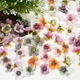 thumbnail image 7 of Uxcell 100-Pack Artificial Flower Heads, Small Silk Faux Daisy Flowers for Wedding/Garland/Hat/Shoes/Party Decoration, Fake Mini Cherry Blossom Petals Bulk [Light Green], 7 of 7