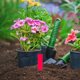 thumbnail image 4 of 100 Unidades De Etiquetas De Plástico Etiquetas Para Jardín Etiquetas Para Jardinería Etiquetas Para Suelo, 4 of 7