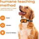 thumbnail image 4 of Collar de entrenamiento para perros, collar de nailon recargable, antiladridos, con vibración, dispositivo antiladridos automático con sonido para perros pequeños, medianos y grandes, 2 unidades, 4 of 5
