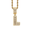 Gold L, variant on Women Copper Unique Non-mainstream Cool Micro-Pave Zircon Inlay Custom Name Capital Large Initial A-Z 26 Letters Necklace Silver H