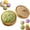 Green, variant on Dumpling Squishies Toy, Mega Rainbow Bao Bun Stress Relief Ball with Steamer Box, Large Sensory Fidget Toy for Adults & Kids