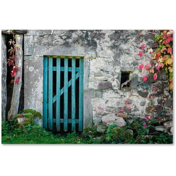 Trademark Fine Art "The Old Wooden Door" Canvas Art by Philippe Sainte-Laudy