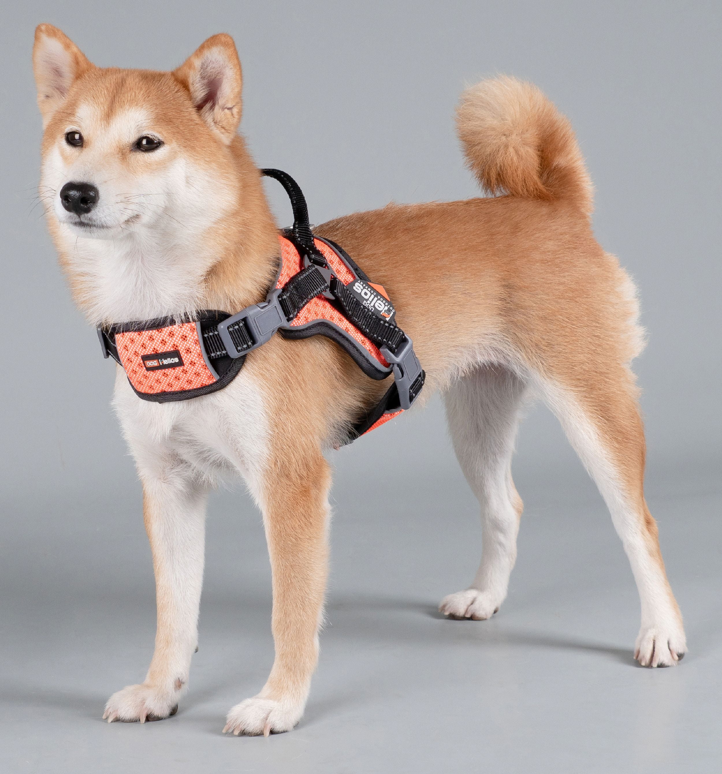 Pet Life Neo-Craft Handmade One-Piece Knot-Gripped Training Dog Leash - One Size / Red