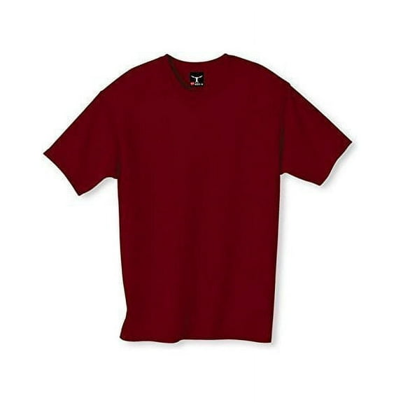 Hanes Preshrunk 100% Cotton 6.1oz. Beefy-T - Born To Be Worn T-Shirt (Pack of 3) 3 Maroon