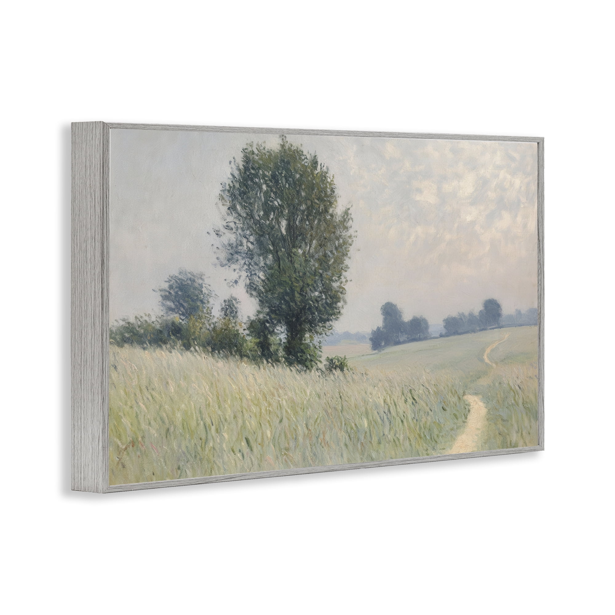 Stupell Industries Tall Grass Path Through Meadow Gray Framed Giclee Art, design by Petal Prints Design