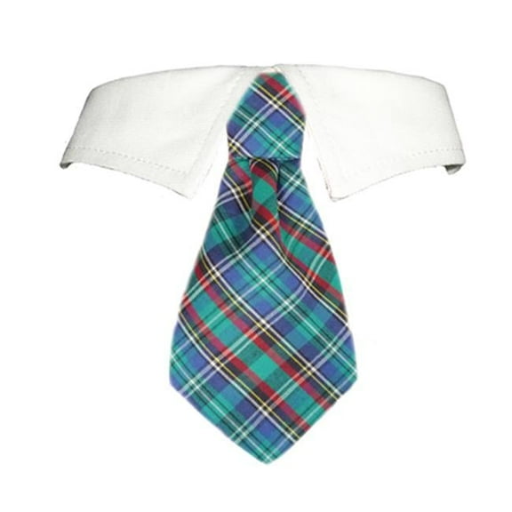 Pooch Outfitters  Eli Shirt Collar - Green - 2XL