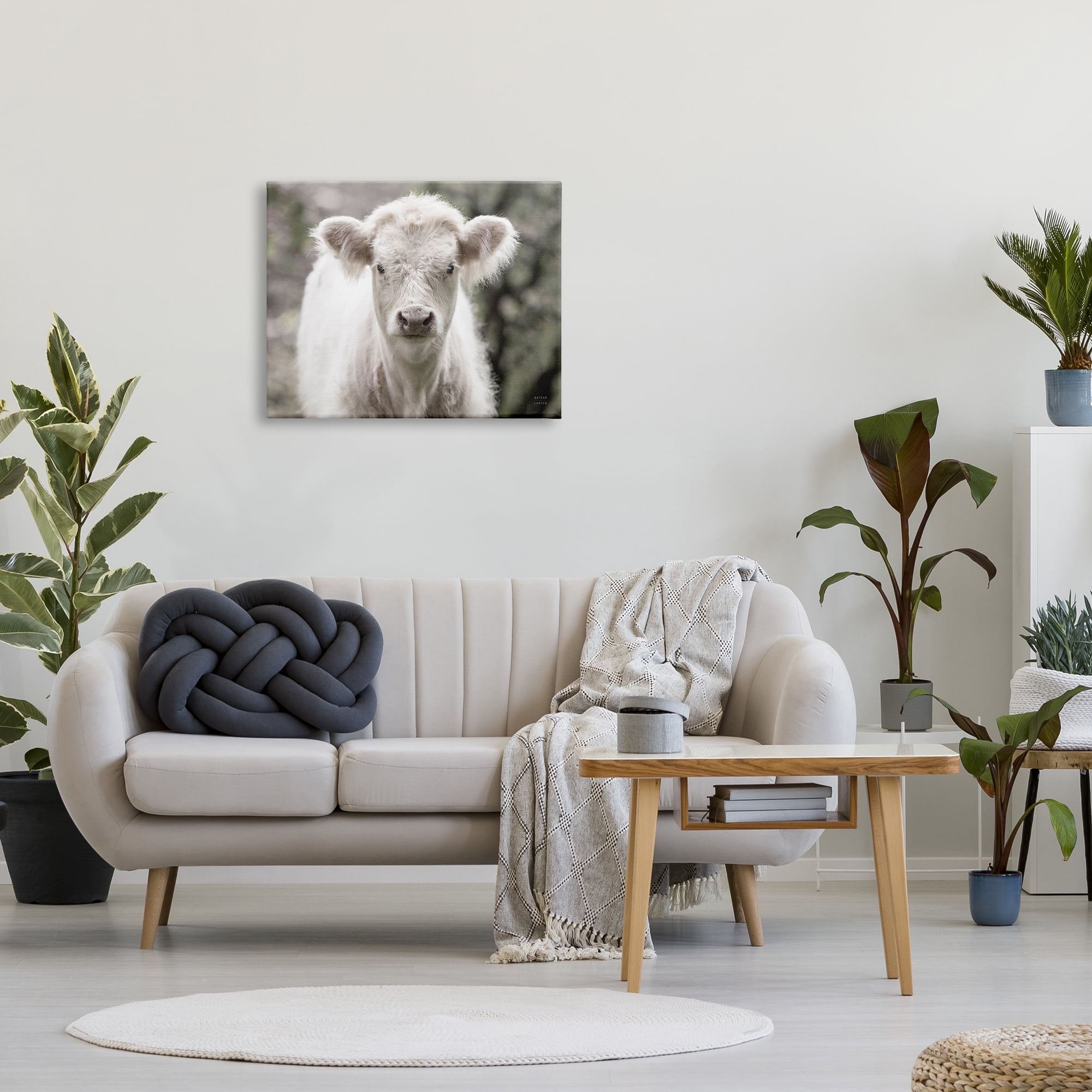 Stupell Industries White Cow Calf Portrait Animals & Insects Photography Gallery Wrapped Canvas Print Wall Art, 30 x 24