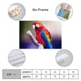 thumbnail image 2 of Macaw Parrot Poster Decorative Painting Canvas Wall Art Living Room Posters Bedroom Painting,Unframe-style,08x12inch(20x30cm), 2 of 8